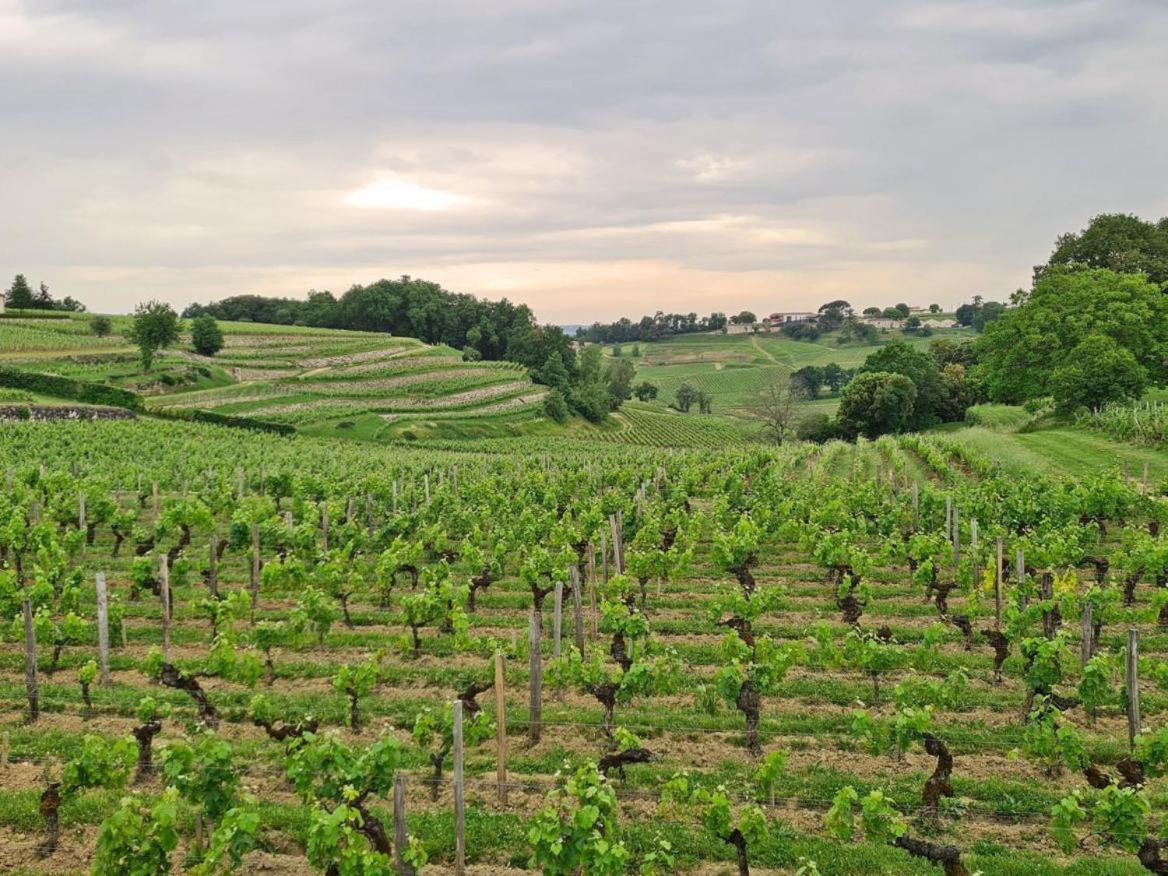 Maison Cosy Avec Vue Sur Les Vignes. Libourne Ngoại thất bức ảnh