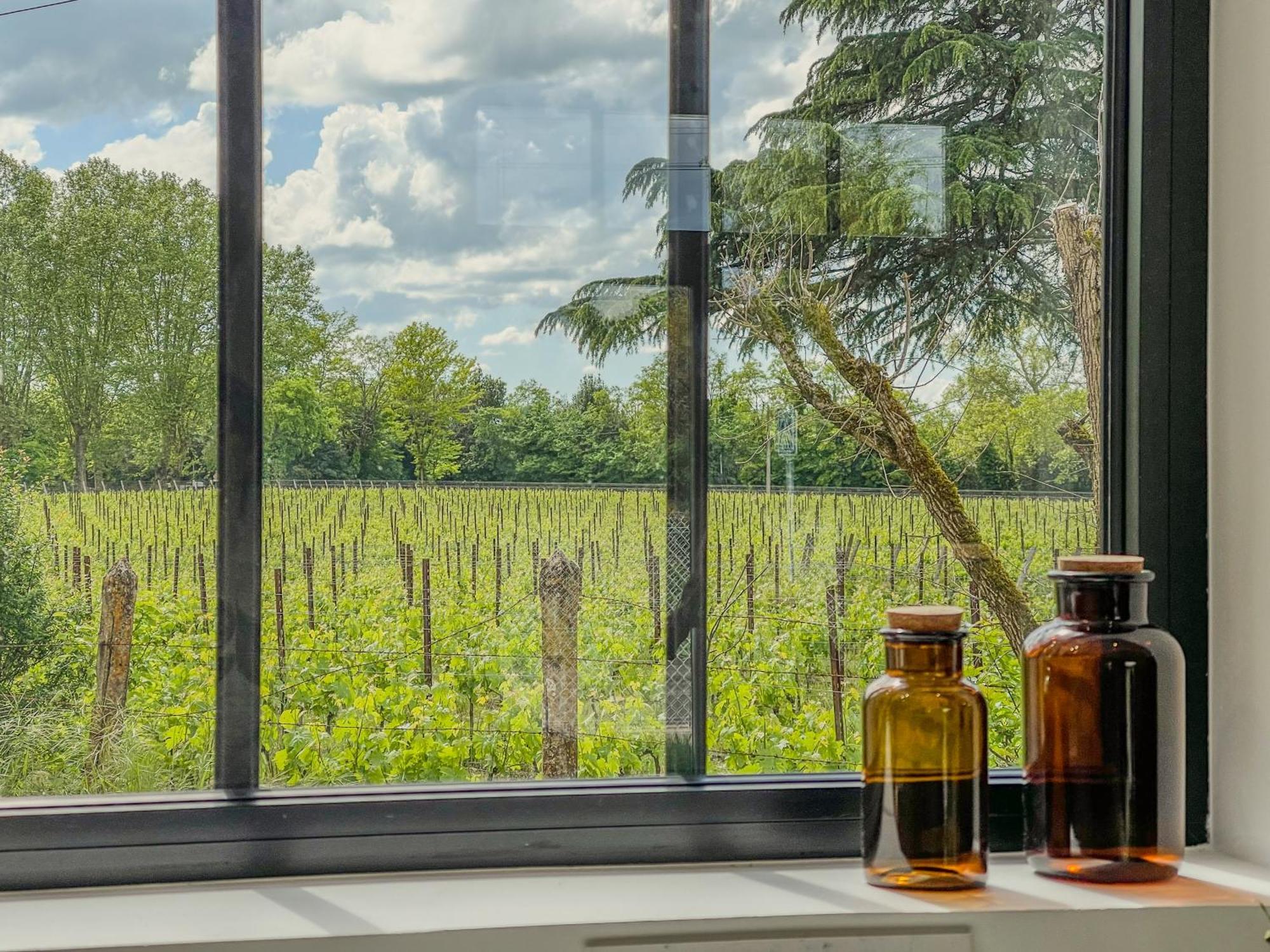 Maison Cosy Avec Vue Sur Les Vignes. Libourne Ngoại thất bức ảnh